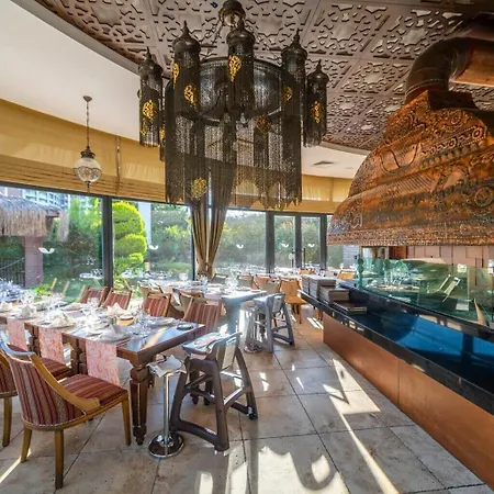 Aska Lara & Hotel